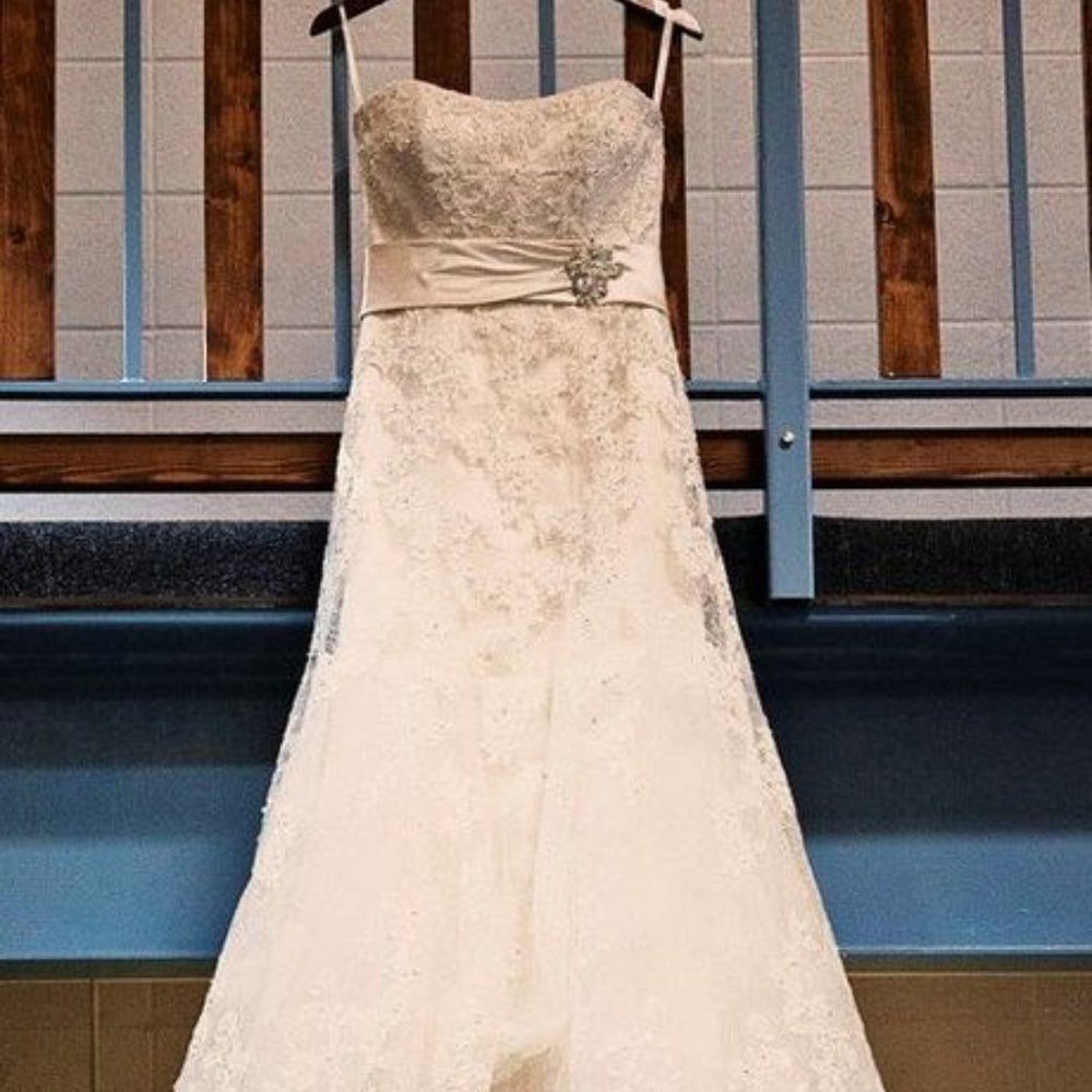 Sophia Tolli Lace Wedding dress